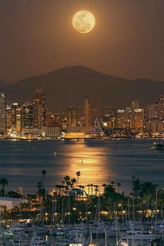 a full moon is seen over the city lights and boats in the water at night