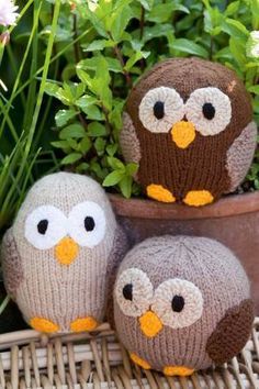 three knitted owls sitting on top of each other in front of some potted plants