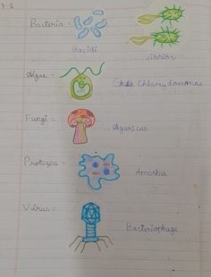 Bacteria, Algae, miceoorganisms diagram Fungi Diagram, Microorganisms Project, Microorganisms Art, Bacteria Diagram, Fashion Design Patterns, New Photo Download, Grade 8