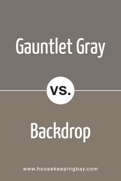 Gauntlet Gray SW 7019 by Sherwin Williams vs Backdrop SW 7025 by Sherwin Williams Sw Backdrop, Gauntlet Gray Sherwin Williams, Backdrop Paint, Grey Exterior House Colors, Gray House Exterior, Exterior House Color, Neutral Paint Colors