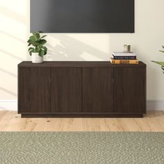 a plant is sitting on top of a wooden cabinet in front of a large painting