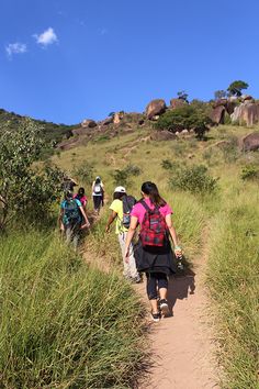 a group of people walking down a dirt path through tall grass and rocks on a sunny day