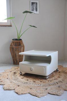 a white coffee table sitting on top of a rug next to a potted plant