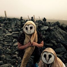 two people dressed in owl costumes standing on rocks