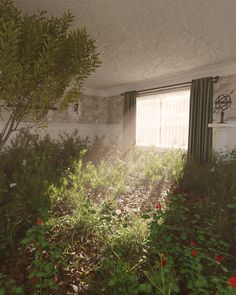 an abandoned room with plants and flowers in the foreground, sunlight coming through the window