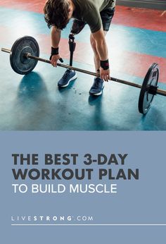 the best 3 - day workout plan to build muscle