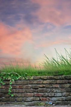 a red fire hydrant sitting next to a brick wall with grass growing on it