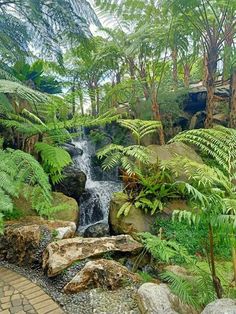 there is a waterfall in the middle of some plants and rocks with trees around it