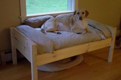 a dog laying on top of a wooden bed