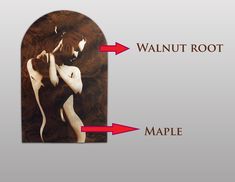 an image with the words walnut root, maple and walnut root in red arrows pointing to each other