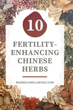 Fertility Herbs, Herbs For Fertility, Benefits Of Herbs, Fertility Tea, Holistic Fertility, Fertility Awareness