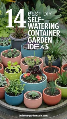 the best diy self watering container garden ideas