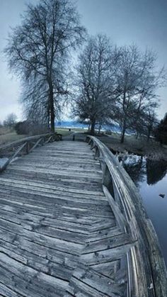 an old wooden dock with water and trees in the background