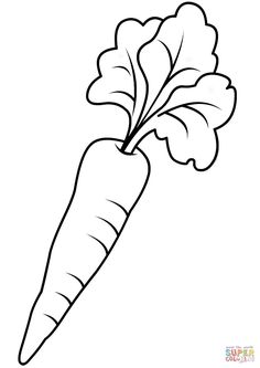 Carrot Drawing, Vegetable Drawing, Carrot Colour, Vegetable Pictures, Shingle Colors, Color Worksheets