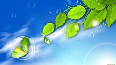 green leaves and bubbles on a blue sky background