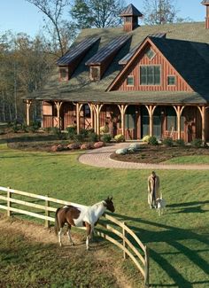 a brown and white horse standing in front of a wooden house next to a fence