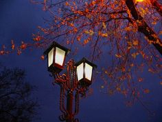 two street lamps sitting next to each other under a tree with red leaves on it