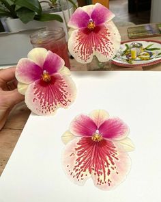 two pink and white flowers sitting on top of a piece of paper