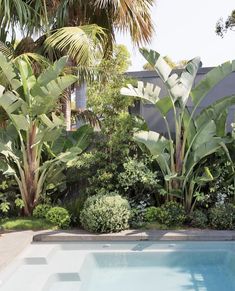 an empty swimming pool surrounded by trees and plants in a backyard area with concrete pavers