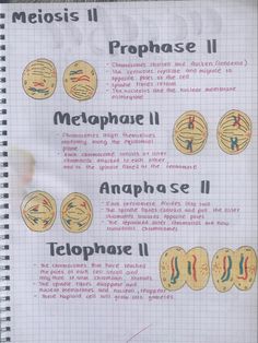 a notebook with some diagrams on it