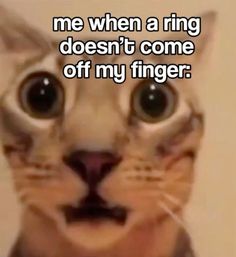 a cat with the caption me when a ring doesn't come off my finger