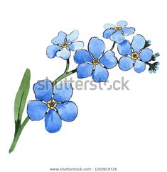 watercolor painting of blue flowers on white background stock photo © anandorm