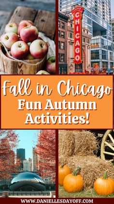 fall in chicago fun autumn activities