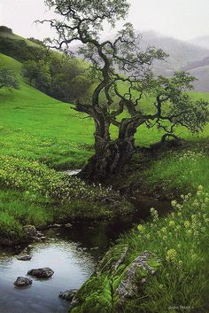 a painting of a tree in the middle of a grassy field with stream running through it