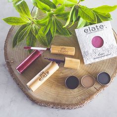 Elate Cosmetics - vegan, toxin free, gluten free, cruelty free makeup Toxin Free Makeup, Crunchi Makeup, Elate Cosmetics, Chemical Free Makeup, Gluten Free Beauty Products, Arbonne Makeup, Celebrating Diversity, Non Toxic Makeup