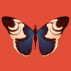 a blue and white butterfly on a red background