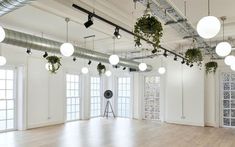 an empty room with lots of plants hanging from the ceiling and lights on the walls