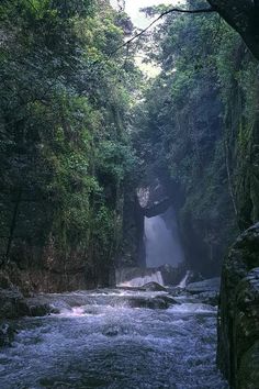 a river running through a forest filled with lots of trees and rocks on either side