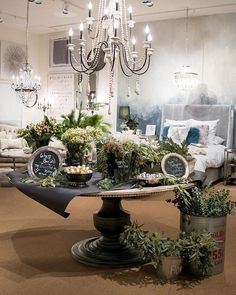 a living room filled with lots of furniture and plants on top of a coffee table