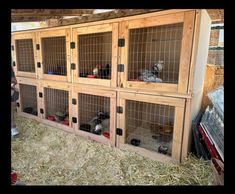 a group of animals that are inside of a wooden caged in area with hay on the ground