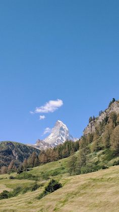 two horses grazing in a field with mountains in the background and blue sky above them