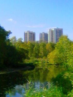 the city skyline is reflected in the water