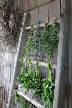 an old ladder is filled with fresh herbs