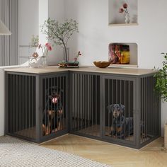 two dogs sitting in their kennels on the floor next to a table with flowers