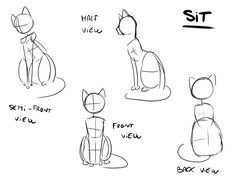 how to draw a cartoon cat with different poses and head shapes step by step instructions