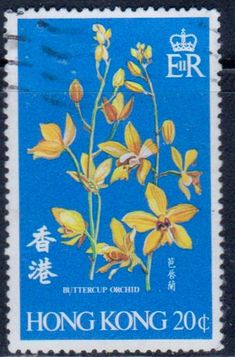 a postage stamp with yellow flowers and chinese writing on the front, which reads buttercup orchid hong kong 20c