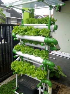 an outdoor garden with many plants growing on it's sides and pipes attached to the ground