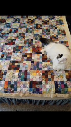 a white cat laying on top of a bed covered in colorful patchwork quilts