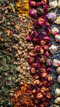 an assortment of dried flowers and herbs laid out