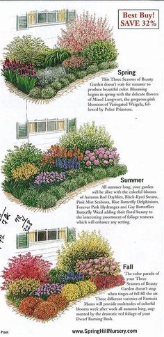 the different types of flowers are shown in this diagram