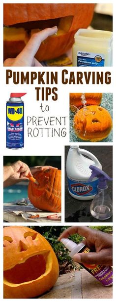 pumpkin carving tips to prevent rotting from the sun and frosting on it's surface