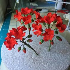 some red flowers are on top of a white cake