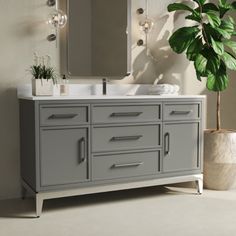 a bathroom vanity with a mirror, sink and potted plant