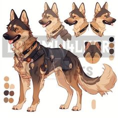 a drawing of a german shepard dog with different poses and haircuts on it's head