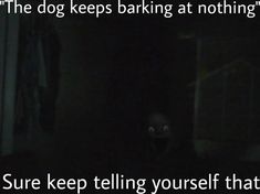 the dog keeps barking at nothing sure keep telling yourself that it's not dark