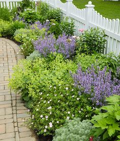 the garden is full of colorful flowers and greenery, along with a white picket fence